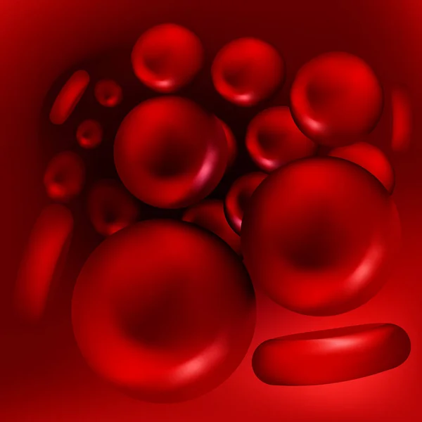 Moving Red Erythrocytes Vein Vector Blood Cells Close Medical Stock — 图库矢量图片