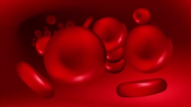 Looped animation of the movement of erythrocytes along the vein. Current blood cells. Moving 3D red washers. 4K stock medical video with microscopic zoom and alpha channel.