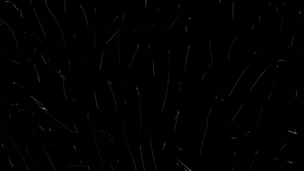 Moving Small Lines Black Background Chaotic Flow Strokes Video Alpha — Vídeos de Stock