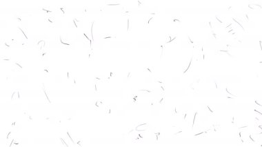 Beyaz ekranda küçük siyah çizikler olan bir animasyon. Filtreler ve sosyal medya hikayeleri için 4k film hasarı etkisi. Kaplama için retro çizikler içeren video.