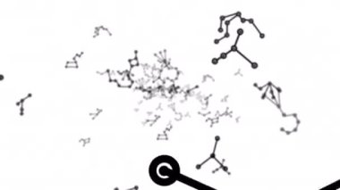 Fly through the zodiac signs on a white screen. Black lines and dots in the connection of astral shapes. The concept of the signs of the starry sky. Stock 4k video with alpha channel. 