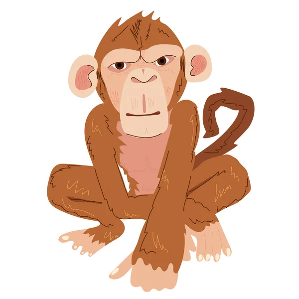 Cartoon Monkey Red Color White Isolate Squatting Primate Vector Image — Stock vektor