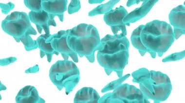 Animation with rotation of blue holographic teeth on a white screen. Video of sharp flyby with digital 3d teeth. Stock video of dentistry in 4k with alpha channel.