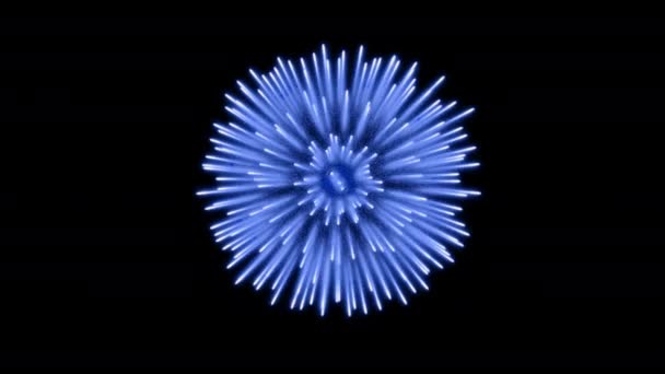 Big Blue Salute Black Background Looped Festive Explosions Nature Technology — Vídeos de Stock
