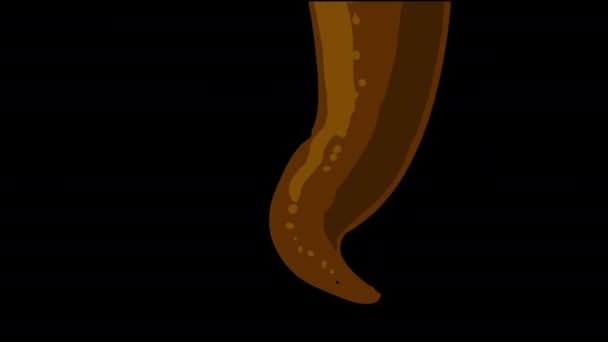 Animáció Egy Örvénylő Barna Anyag Egy Fekete Képernyőn Forró Csokoládé — Stock videók