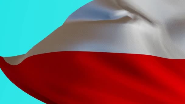 Polská Vlajka Modré Obrazovce Animace Symbolu Země Bílé Červené Barvy — Stock video