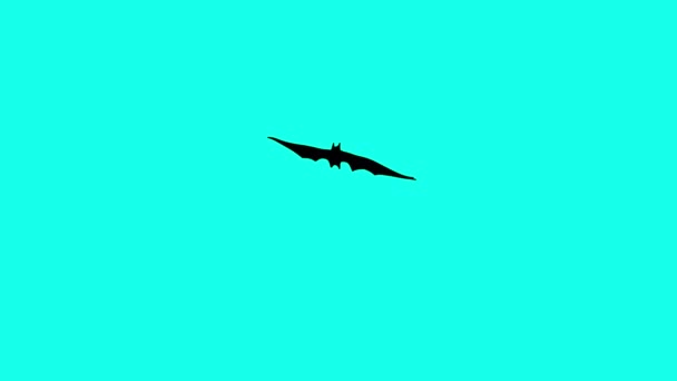 파란색 화면에 빠르게 날으는 박쥐의 애니메이션 마법같은 갑작스런 움직임을 보이고 — 비디오