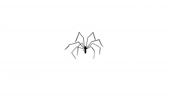화면에 거미가 빠르게 거미줄을 을묘사 것이다 흰색으로 간헐천 파리를 만드는 — 비디오