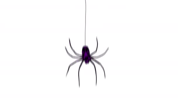 Velký Mnohobarevný Pavouk Klesá Pavučinu Bílé Obrazovky Video Grafiku Přidat — Stock video