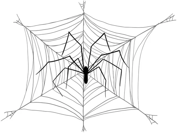Een Spin Met Lange Poten Weefde Een Groot Web Een — Stockvector