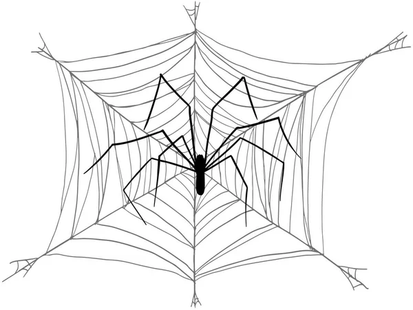 Pająk Długimi Nogami Utkał Dużą Sieć Białym Tle Sylwetka Wektora — Wektor stockowy