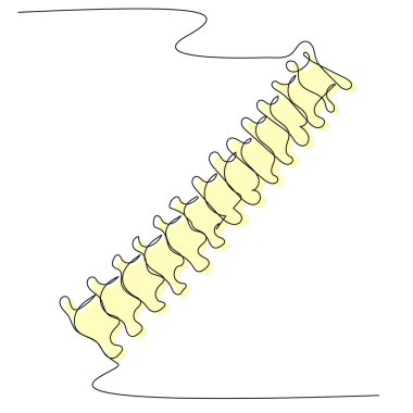 Omurga tek bir çizgide, beyaz bir izolasyonda renkli bir siluet. Sırt ağrısı, kemik ve kıkırdak sağlığı kavramı. Yaşla ilgili değişiklikler ve sıkıştırılmış disklerin vektör resmini stokla.