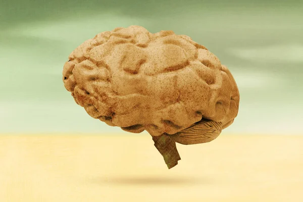 Rusty Rendered Stone Brain Geïsoleerd Een Woestijn Met Grunge Bodem — Stockfoto