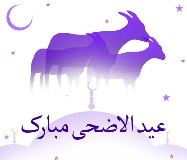 Eid Adha Mubarak Abstract Background Goats Stars Moon — стокове фото