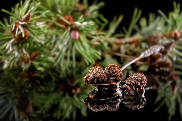 Pine cones jam in a spoon on a black background. Reflection. Healthy food. — Stock Photo, Image