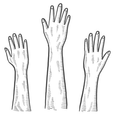 raise hand volunteer charity humanitarian international day isolated doodle hand drawn sketch with outline style vector illustration