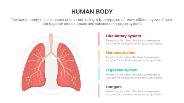 Lungen Menschliche Anatomie Infografisches Konzept Für Diapräsentation Mit Punkteliste Daten — Stockvektor