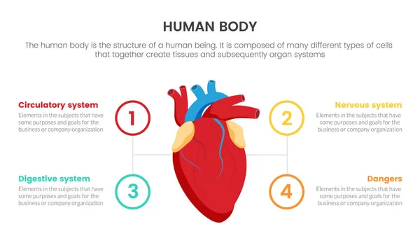 Herz Menschliche Anatomie Infografisches Konzept Für Diapräsentation Mit Punkt Liste — Stockvektor