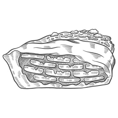 Banoffee Pie British veya İngiltere ve tatlı aperatifleri izole edilmiş karalama el çizimi ana hatlı çizim tarzı vektör illüstrasyon