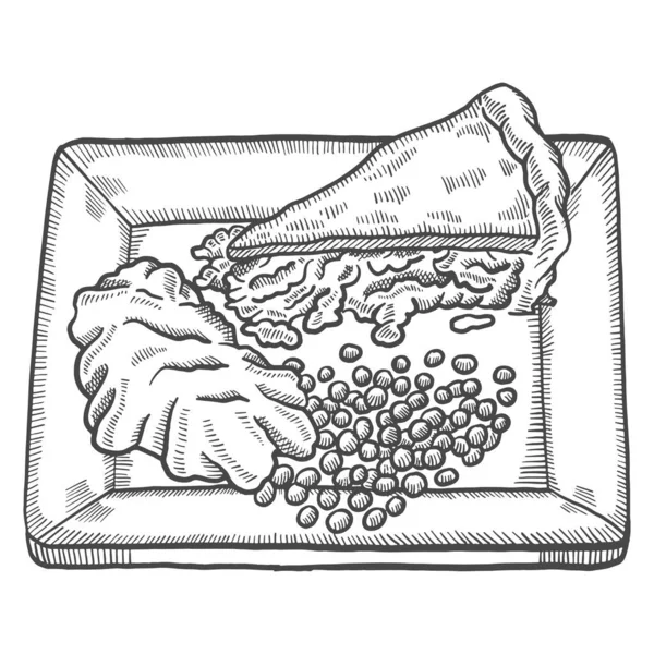 パイとメッシュポテトイギリスやイギリス料理独立したドアの手のスケッチを描いたアウトラインスタイルのベクトルイラスト — ストックベクタ