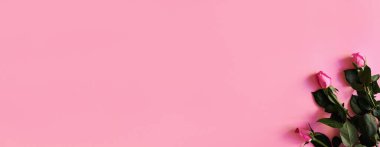 Pastel pembe arka planda ağaç gülleri olan web afişi. Bahar mevsimi