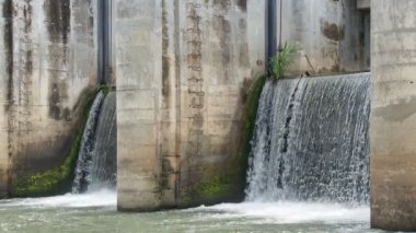 Tayland 'ın kırsal kesimindeki kanalları küçük barajlar tıkıyor