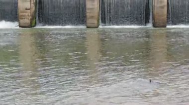 Tayland 'ın kırsal kesimindeki kanalları küçük barajlar tıkıyor