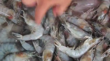 Balık pazarındaki taze karideslerin en üst görüntüsü