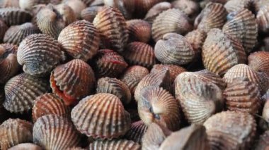 İşaretli beyaz midyenin üst görünümü, deniz ürünleri konsepti