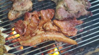 Kamp sırasında mangal kömürü üzerine kızarmış domuz eti.