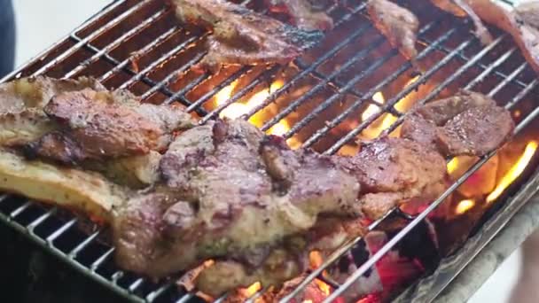 Asado Cerdo Sobre Carbón Vegetal Durante Camping — Vídeos de Stock