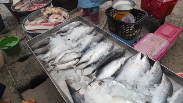 Sacco Pesce Fresco Nel Mercato Fresco Thailandia — Video Stock