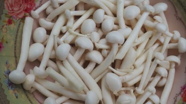 Appetizing Cogumelos Brancos Para Cozinhar Fundo Close — Vídeo de Stock