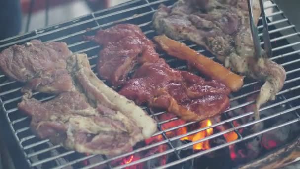 野营时用炭烤猪肉 — 图库视频影像