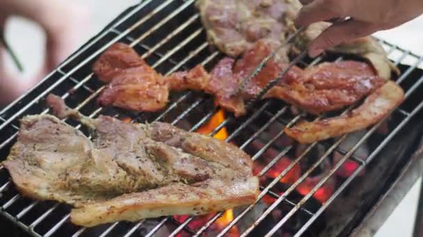 Geroosterd Varkensvlees Houtskool Tijdens Het Kamperen — Stockvideo