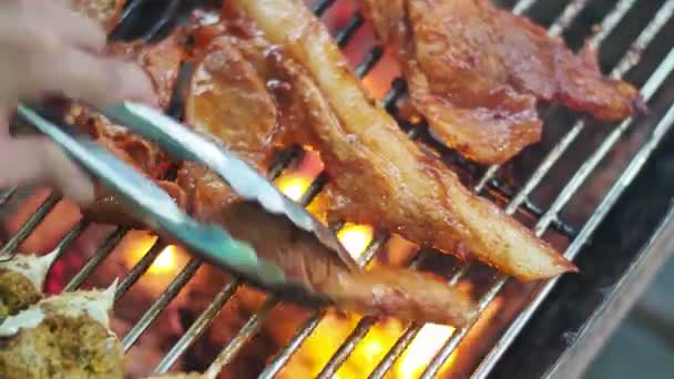 Geroosterd Varkensvlees Houtskool Tijdens Het Kamperen — Stockvideo