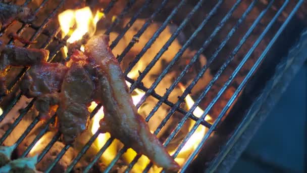Carne Porco Assada Sobre Carvão Vegetal Durante Acampamento — Vídeo de Stock