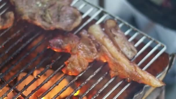 野营时用炭烤猪肉 — 图库视频影像