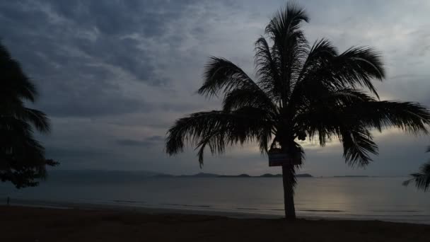 Beautiful Sunset Palms Sea Nature Background — Vídeo de Stock