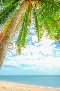 Tayland 'ın güzel denizleri ve plajları