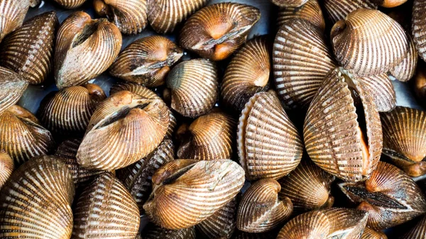 Pişirmek için taze deniz tarakları. Taze midyeler yemek pişirmek için temel malzemedir. Pazardaki istiridyeler