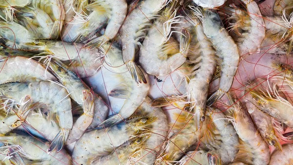 Свіжі Морепродукти Свіжому Ринку Приготування Їжі Свіжі Креветки — стокове фото