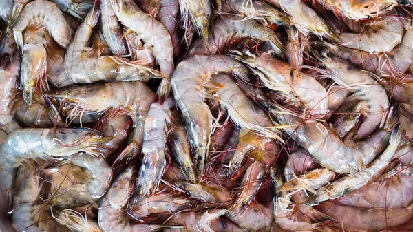 Fresh Seafood Fresh Market Cooking Fresh Shrimp — Stock Photo, Image
