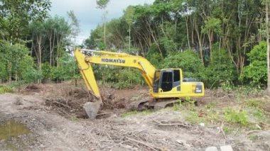 Ormanda eski ağaçları toplayan kazıcı manzarası