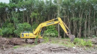 Ormanda eski ağaçları toplayan kazıcı manzarası