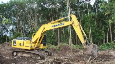 Ormanda eski ağaçları toplayan kazıcı manzarası