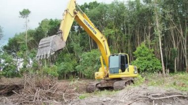 Ormanda eski ağaçları toplayan kazıcı manzarası
