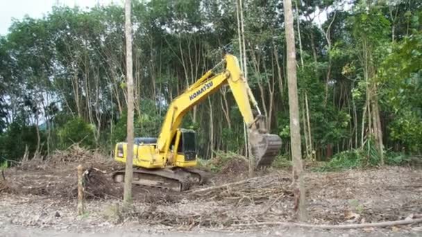 Vista Excavadora Bosque Recogiendo Árboles Viejos — Vídeo de stock