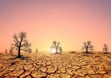 Kuru çatlamış çöl, arka planda ölü ağaçlar, küresel ısınma kavramı.