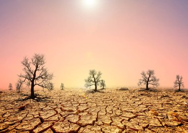 Kuru çatlamış çöl, arka planda ölü ağaçlar, küresel ısınma kavramı.